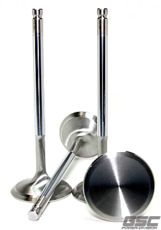 Gsc P-D Audi V10 5.2L 27Mm Head Std 101.8Mm Long Chrome Polished Alloy Exhaust Valve - Set Of 10 1