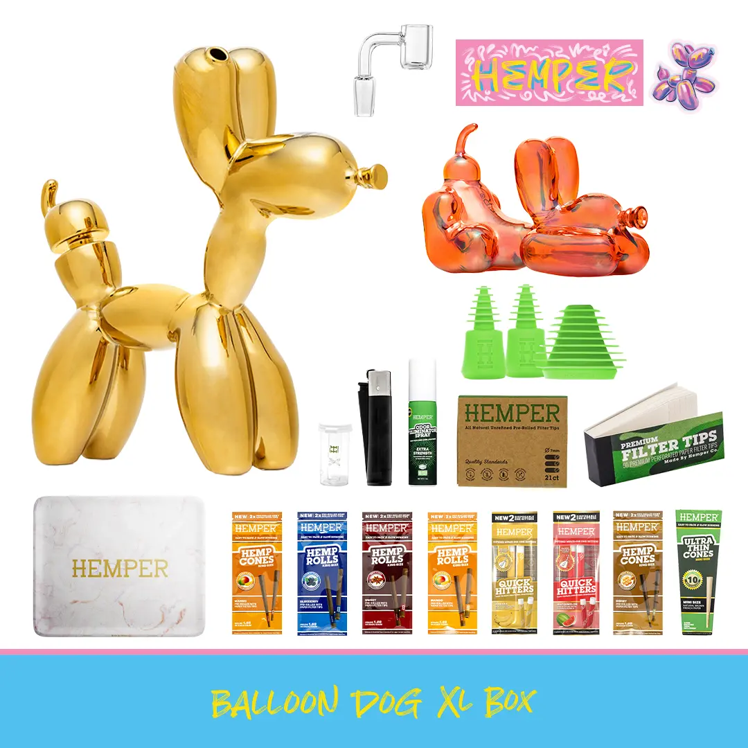 Balloon Dog Xl Bong Box 1