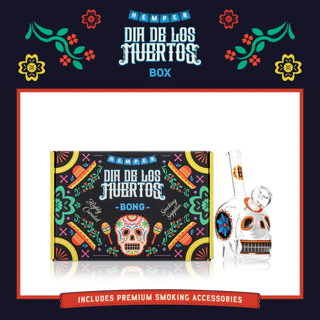 Dia De Los Muertos Bong Box 2