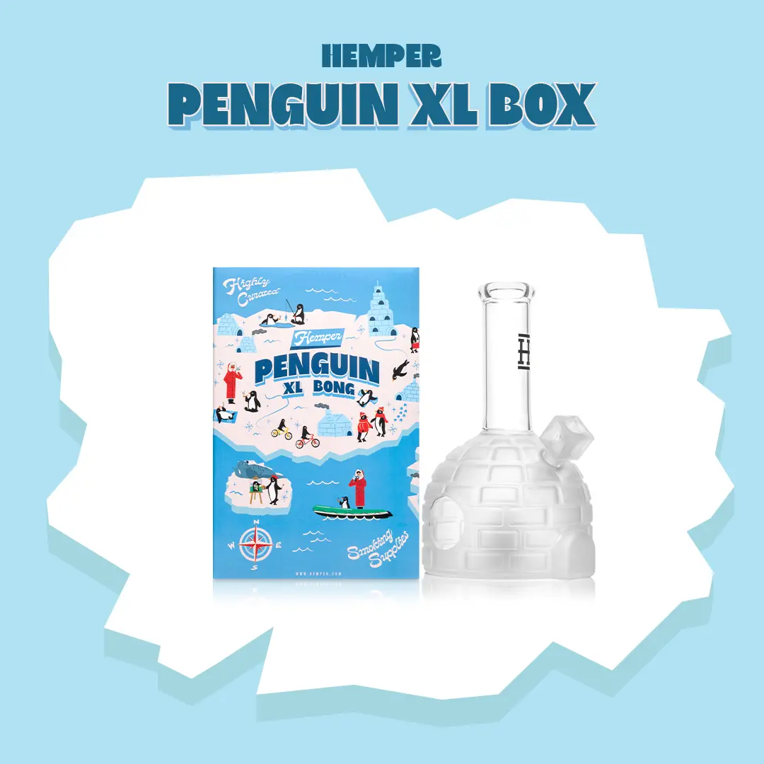 Penguin Igloo Xl Bong Box 2