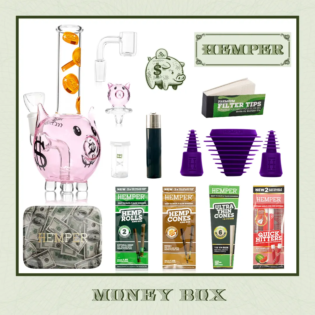 Money Piggy Bank Bong Box 1