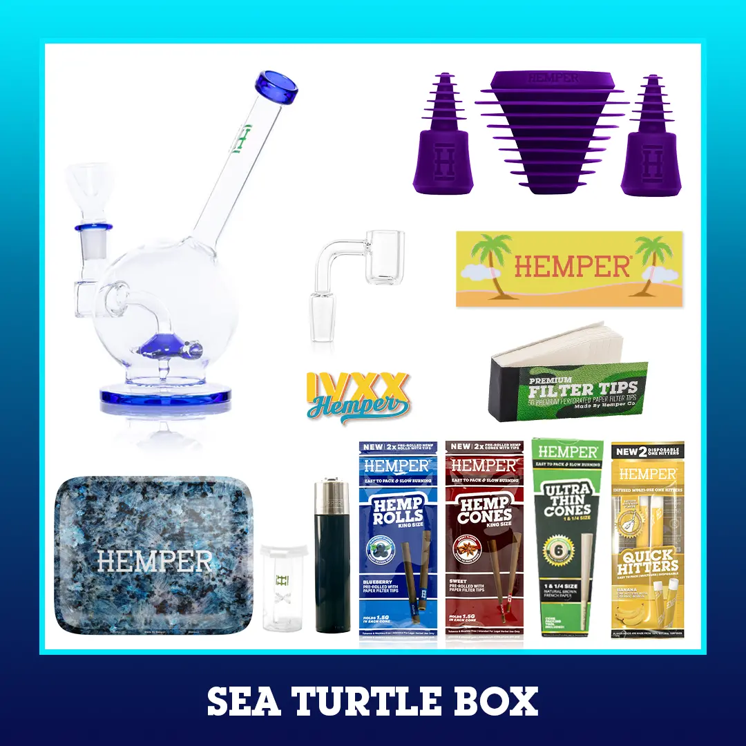 Sea Turtle Bong Box 2
