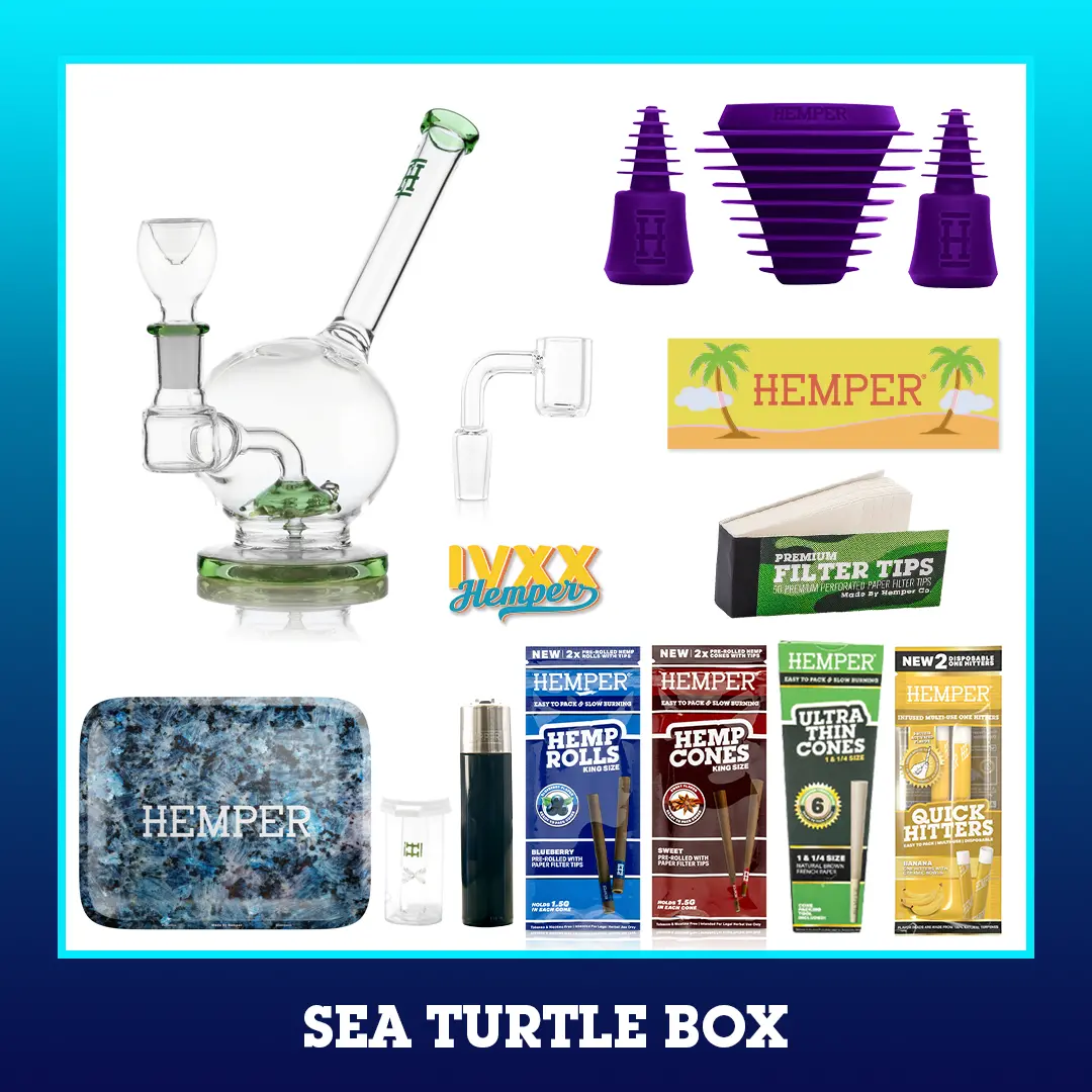 Sea Turtle Bong Box 2