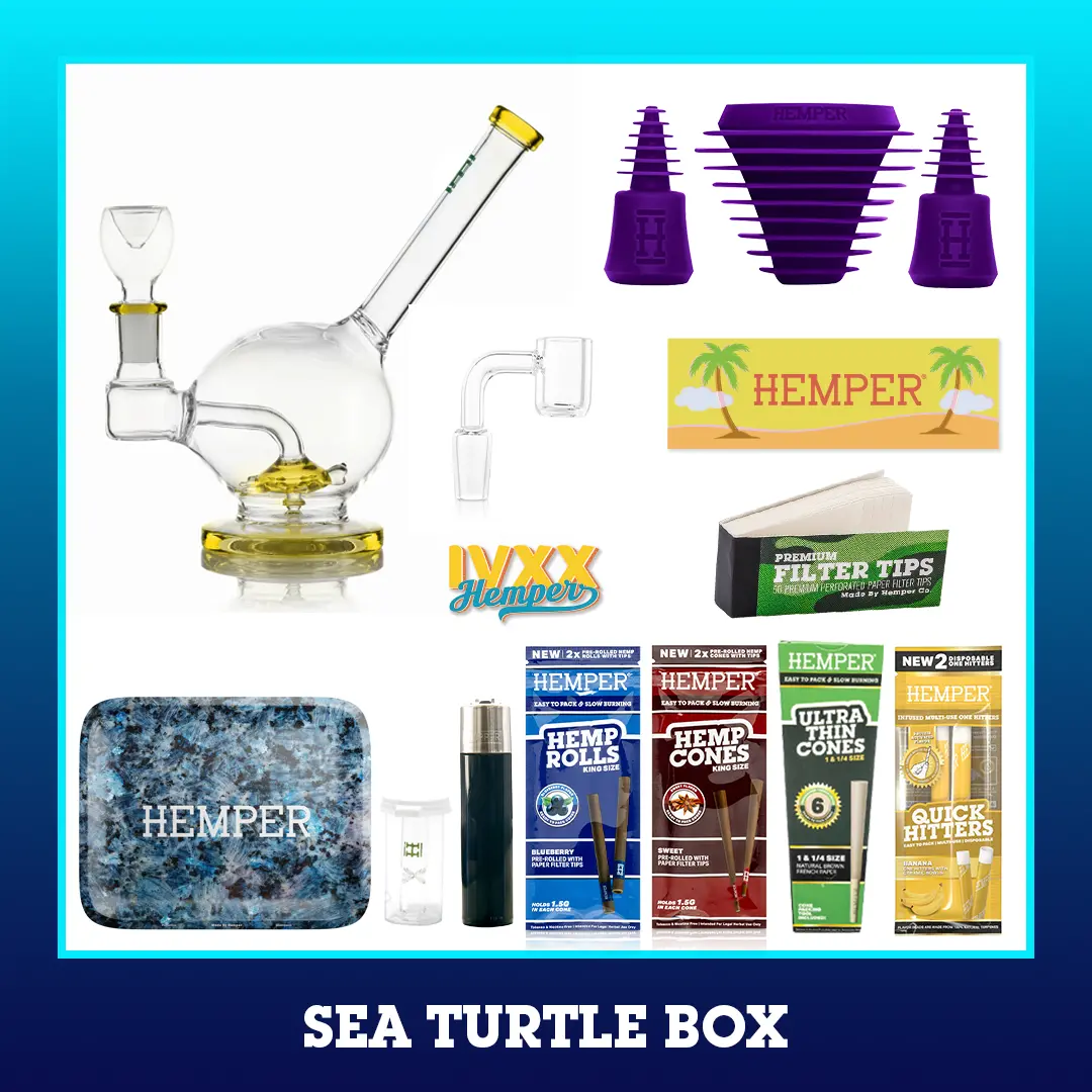 Sea Turtle Bong Box 3