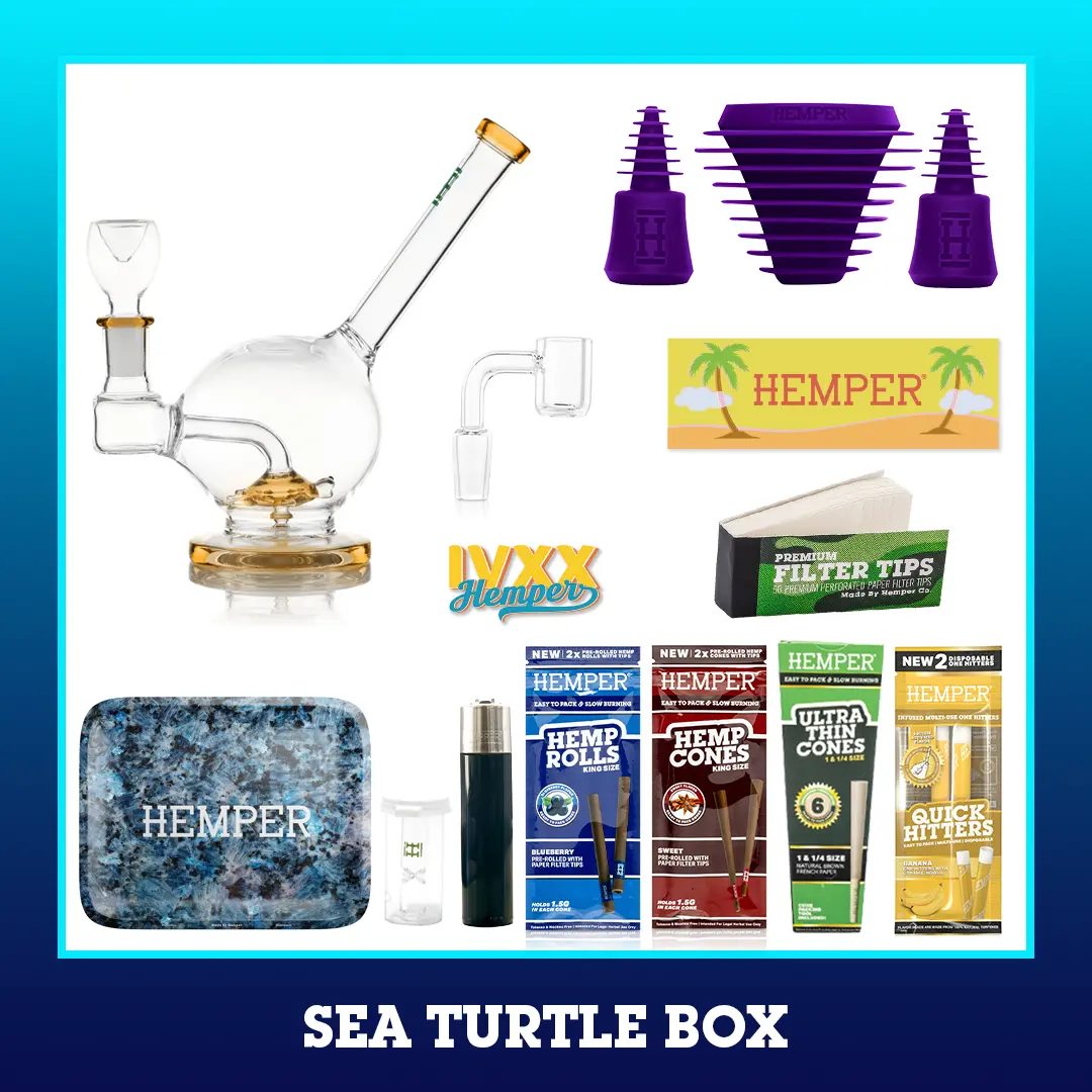 Sea Turtle Bong Box 4