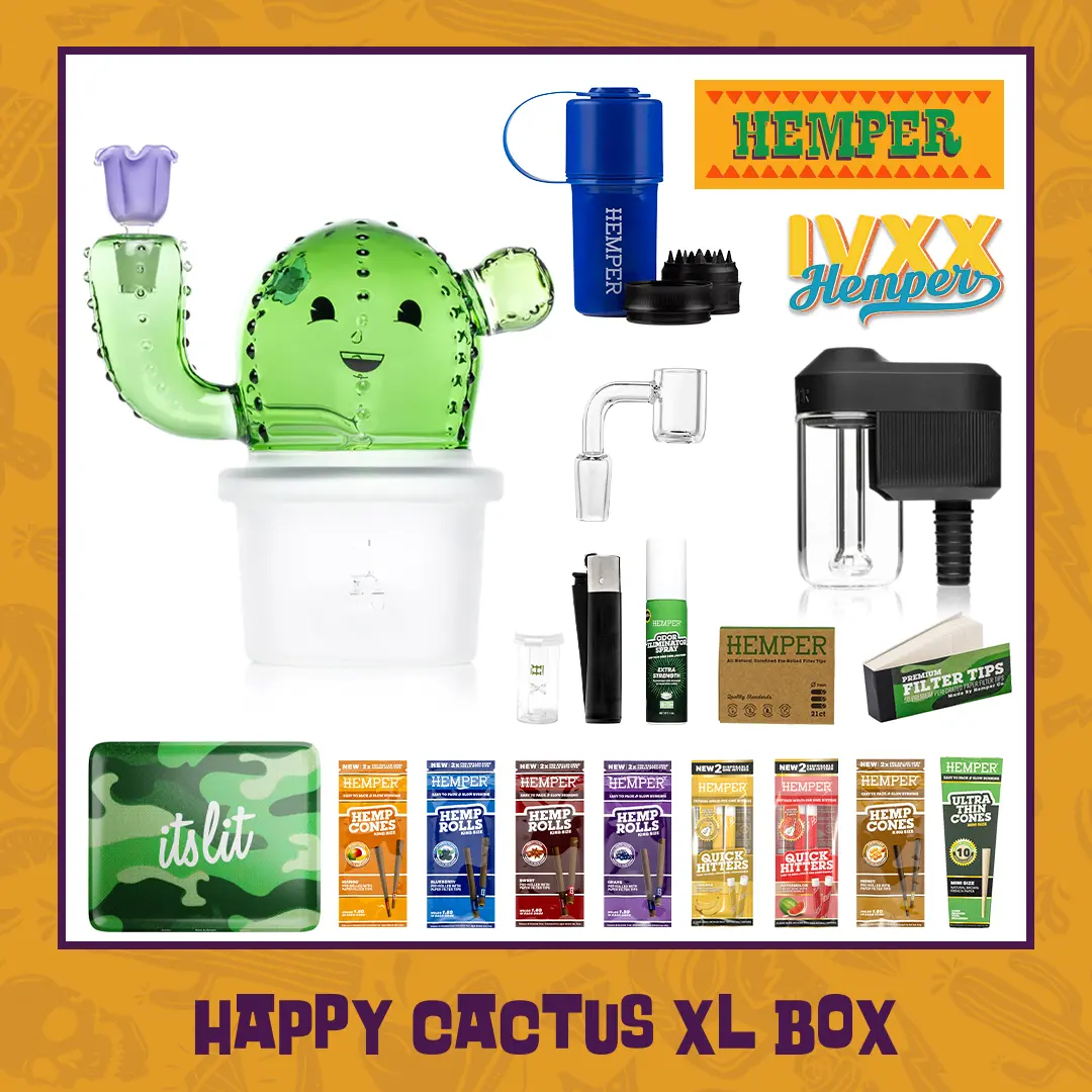 Happy Cactus Xl Bong Box 1