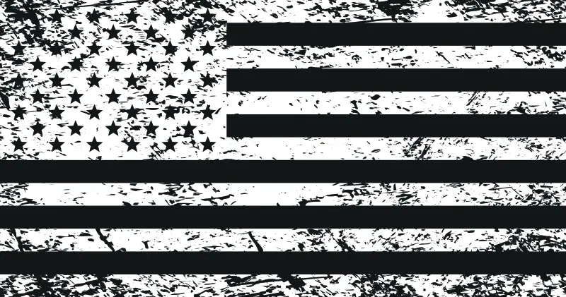 Dragonfire Racing Whip Flag - Tatterd American Flag 1