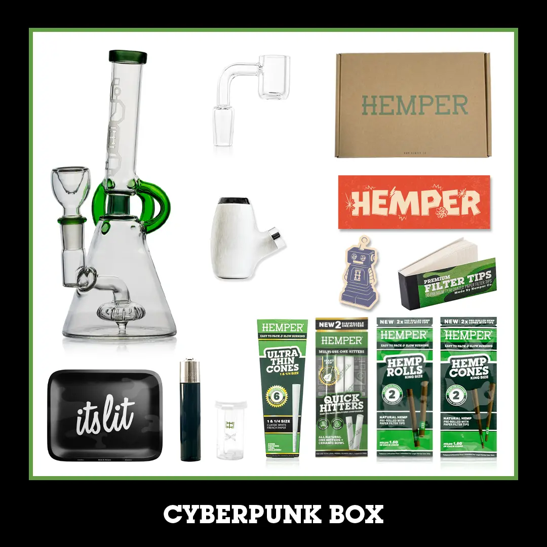 Cyberpunk Bong Box 1